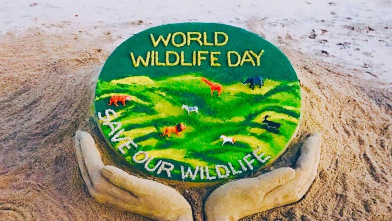 ZIGA INFOTECH Wishes World Wildlife Conservation Day